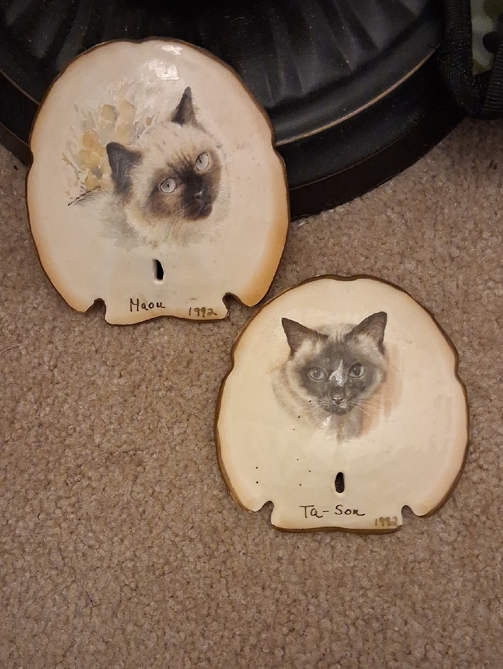Cat Wall Plaque Sand Dollars 1992 - hand painted